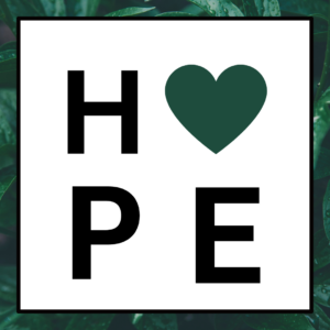 Hamper of Hope
